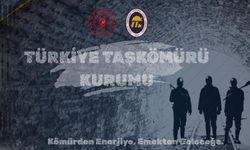 TTK Amasra Kuraları Çekildi