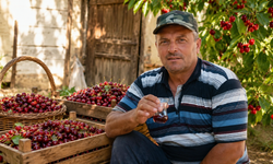 Kiraz Yediler, Karı Koca Peş Peşe Hayatını Kaybetti