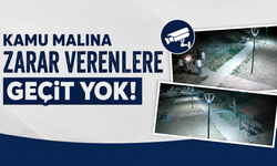Piknik Alanına Zarar Veren Vandallar Kamerada
