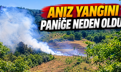 Anız Yangını Paniğe Neden Oldu