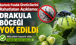 Fındık Üreticilerini Rahatlatan Açıklama: Drakula böceği yok