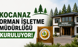 Kocanaz Orman İşletme Müdürlüğü Kuruluyor