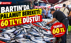 Bartın’da palamut bereketi: 60 TL’ye Düştü