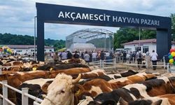 Akçamescit Hayvan Pazarında Beklenen Tarih Açıklandı