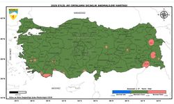 Bartın'dan Rekor Üstüne Rekor