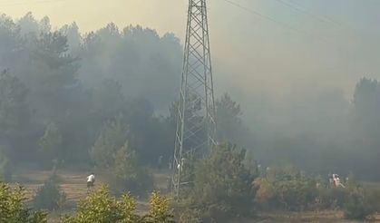 Bartın’da orman yangını çıktı