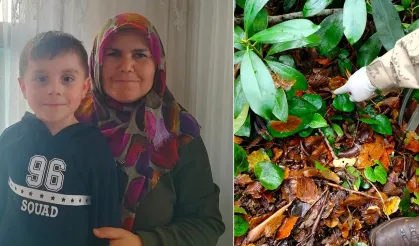 Kayıp telefon bulundu, 1 kişiye elektronik kelepçe takıldı