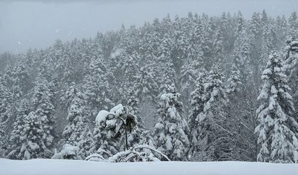 Yoğun kar nedeniyle tırların geçişine izin verilmiyor