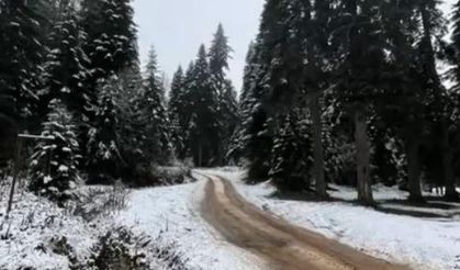 Bartın'ın yüksek kesimlerine mevsimin ilk karı düştü