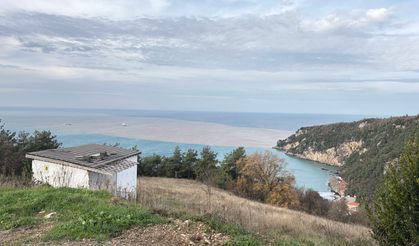 Eriyen kar suları nedeniyle denizin rengi değişti