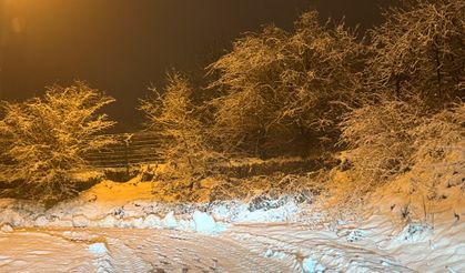 Bartın'da kar yağışı nedeniyle 65 köy yolu ulaşıma kapandı