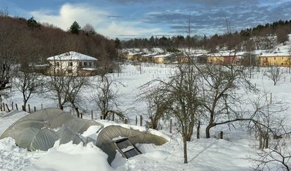Kar birikintisine dayanamayan seralar çöktü