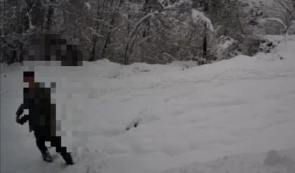 Kaçak avlanan şahıs fotokapanla yakalandı