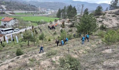 Bartın'da hükümlüler fidan dikti