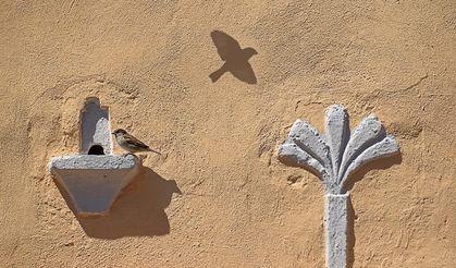 Bartın’ın Tarihi Hazinesi; Kuş Evleri