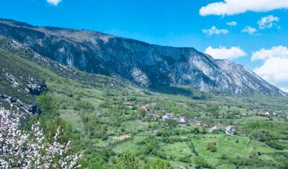 Küre Dağları Milli Parkı İlkbaharda Büyülüyor