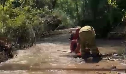 Dereye Düşen Topu Almak İsterken Akıntıya Kapıldı