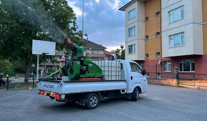 Uçkun ve Haşerelere Karşı İlaçlama Çalışmaları Başladı