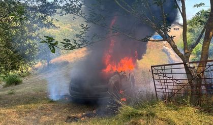 Bartın'da kamyonet alev alev yandı
