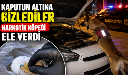 Kaputun altına gizlediler, narkotik köpeği ele verdi