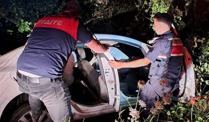 Kapısuyu’nda otomobil virajı alamadı: 1 yaralı