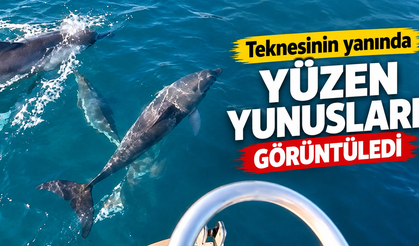 İnkumu Açıklarında Yunusların Tekneyle Dansı