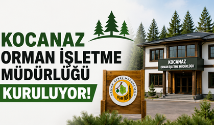 Kocanaz Orman İşletme Müdürlüğü Kuruluyor