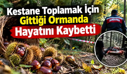 Kestane Toplamak İçin Gittiği Ormanda Hayatını Kaybetti