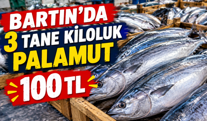 Bartın’da 3 adet kiloluk palamut 100 TL