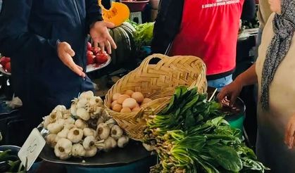 Galla Pazarı’nda Süt ve Yumurtaya Sıkı Denetim