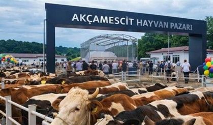 Akçamescit Hayvan Pazarında Beklenen Tarih Açıklandı