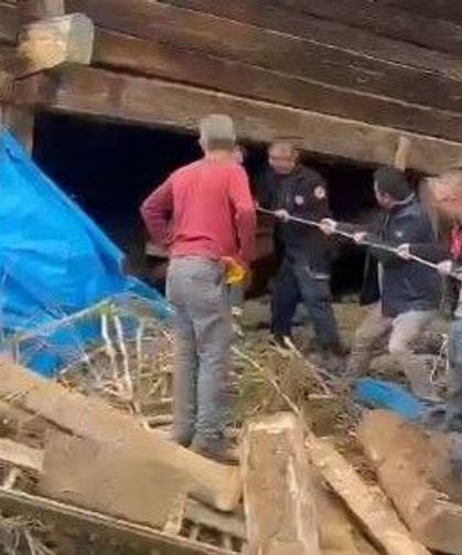 Ağıl Faciasında Sağım Yapan Kadın ve 51 Hayvanı Can Verdi