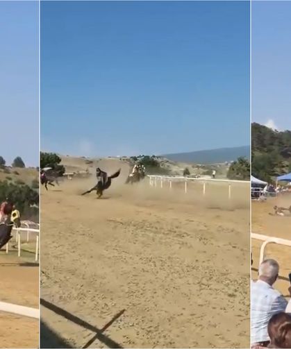 Festivalde at yarışında kaza: 2 at öldü, 1 jokey yaralı