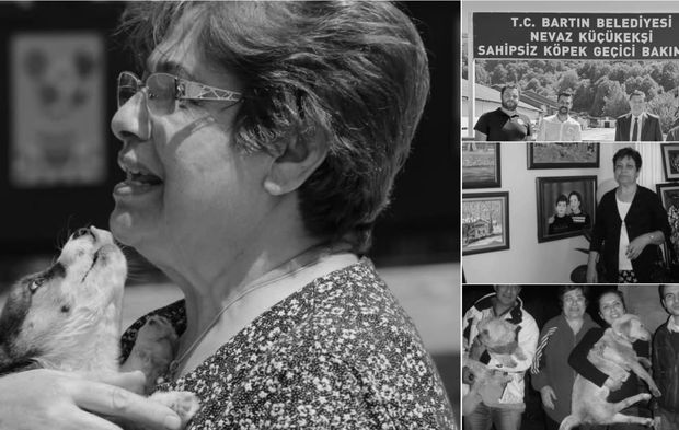 Sokak Canlarının Annesi Nevaz Küçükekşi Vefat Etti