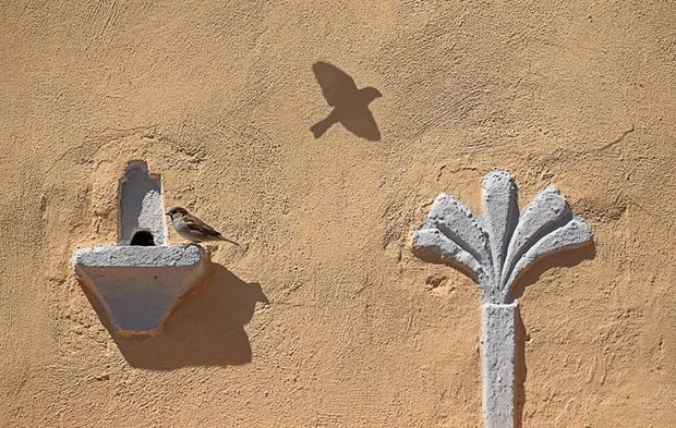 Bartın’ın Tarihi Hazinesi; Kuş Evleri