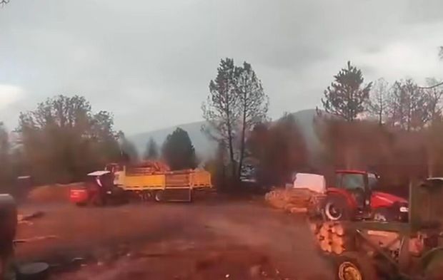 Ormanda Korku Dolu Anlar