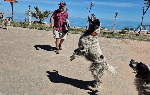Bartın’da Dronların Korkulu Rüyası Köpekler
