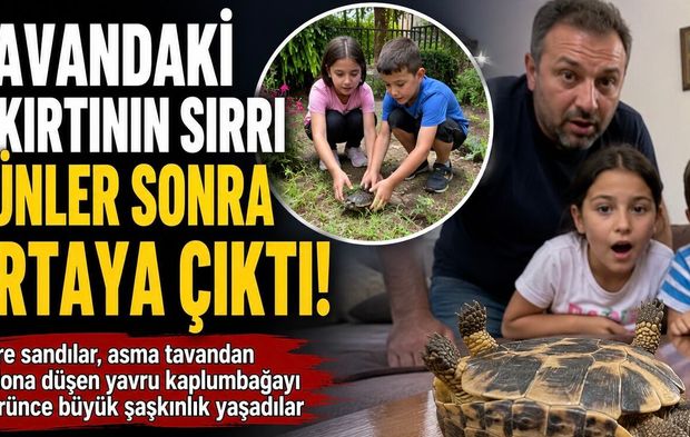 Tavandaki Tıkırtının Sırrı Günler Sonra Ortaya Çıktı