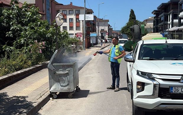 Belediye ekipleri sineklere karşı sahada