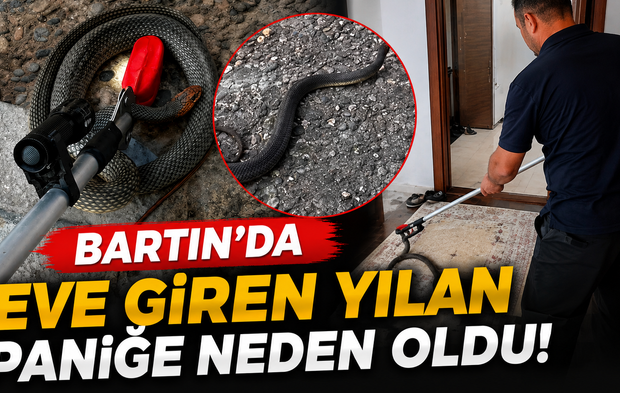 Bartın’da Eve Giren Yılan Paniğe Neden Oldu
