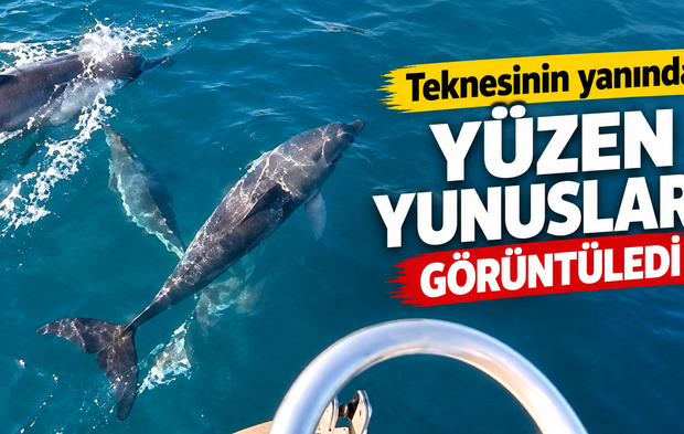 İnkumu Açıklarında Yunusların Tekneyle Dansı