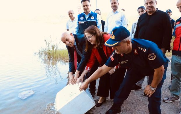 Bartın’da Barajlara 145 Bin Sazan Yavrusu Bırakıldı