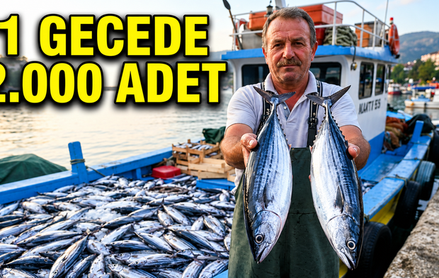 Amasra’da palamut bereketi: Bir gecede 2 bin palamut