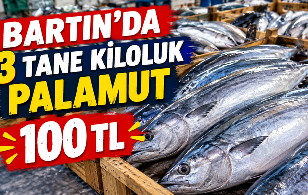 Bartın’da 3 adet kiloluk palamut 100 TL