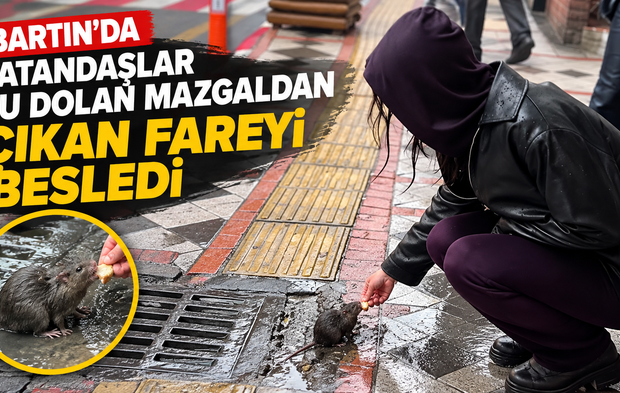 Kimse Hayvanseverliğimizi Sorgulamasın !