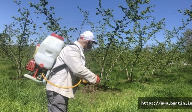 İşte Fındık Düşmanı Kokarcaya Karşı Etkili Ürünler