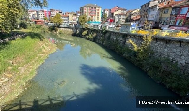 Oksijensiz Kalan Balıklar Ölmeye Başladı