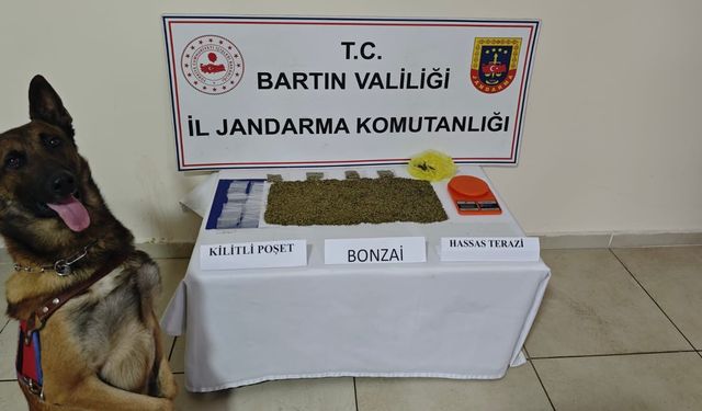 Köye Bonzai Baskını