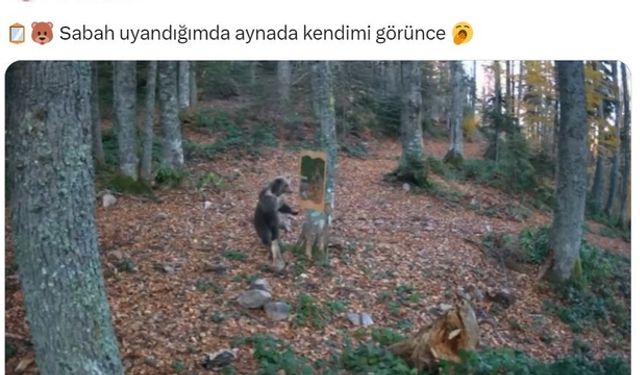 Sabah uyandığımda aynada kendimi görünce :)