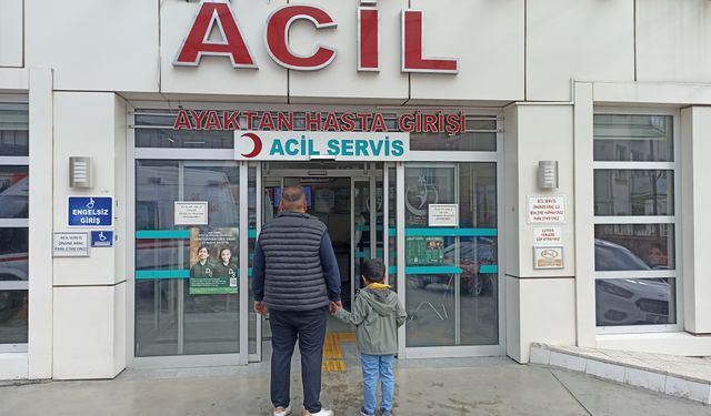 Başıboş köpeklerin saldırısına uğrayan Baturalp, yaralandı